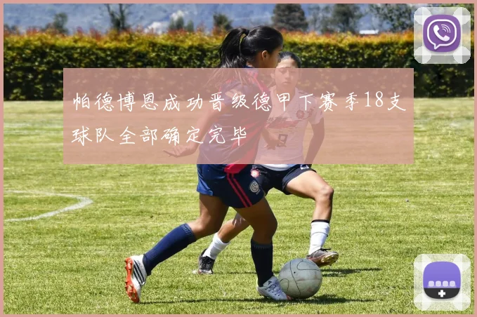 帕德博恩成功晋级德甲下赛季18支球队全部确定完毕