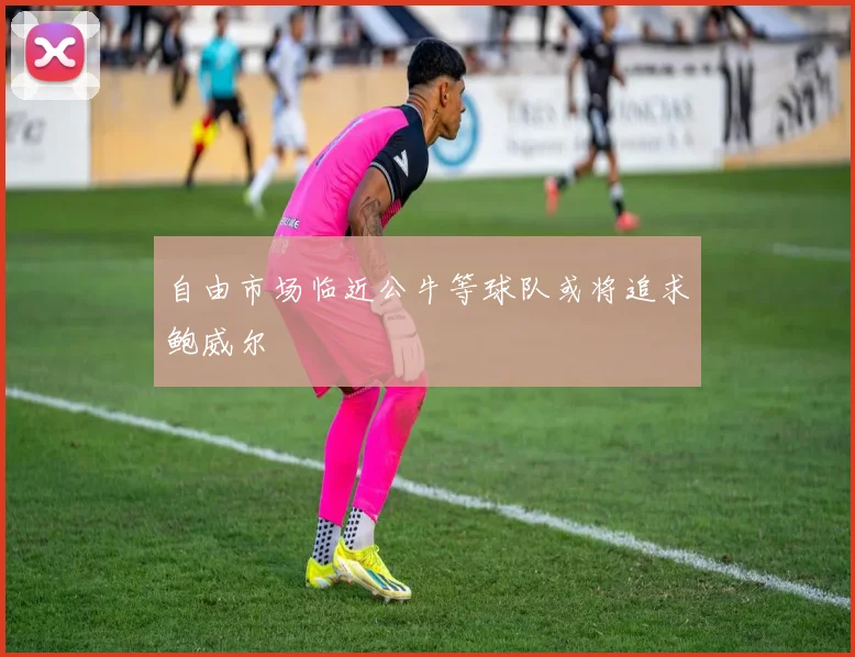 自由市场临近公牛等球队或将追求鲍威尔